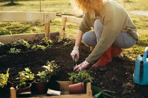 Gardening