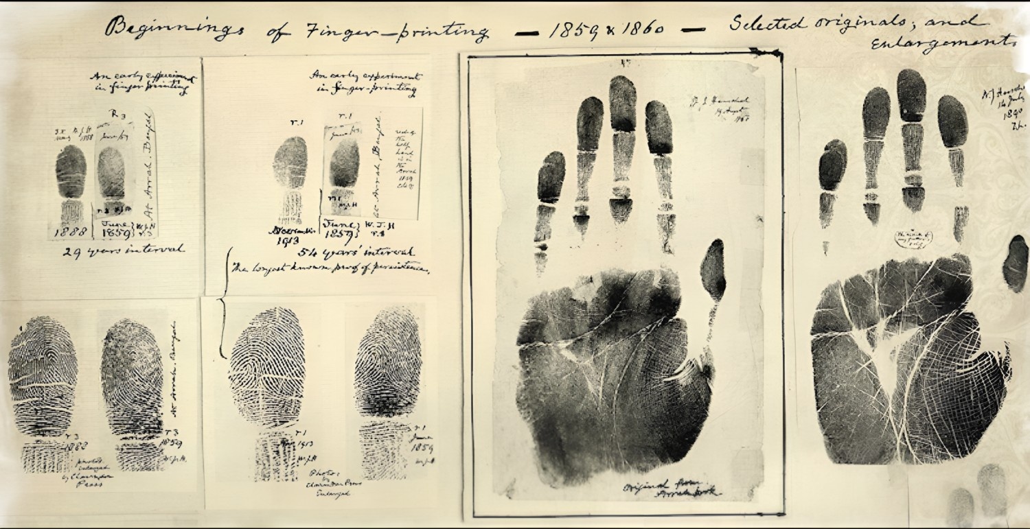 The Impact of Alina Burroughs on Forensic Science Today - GigWise