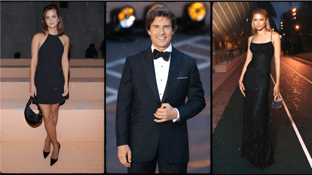 Comparing Sara Saffari's Height to Hollywood Stars