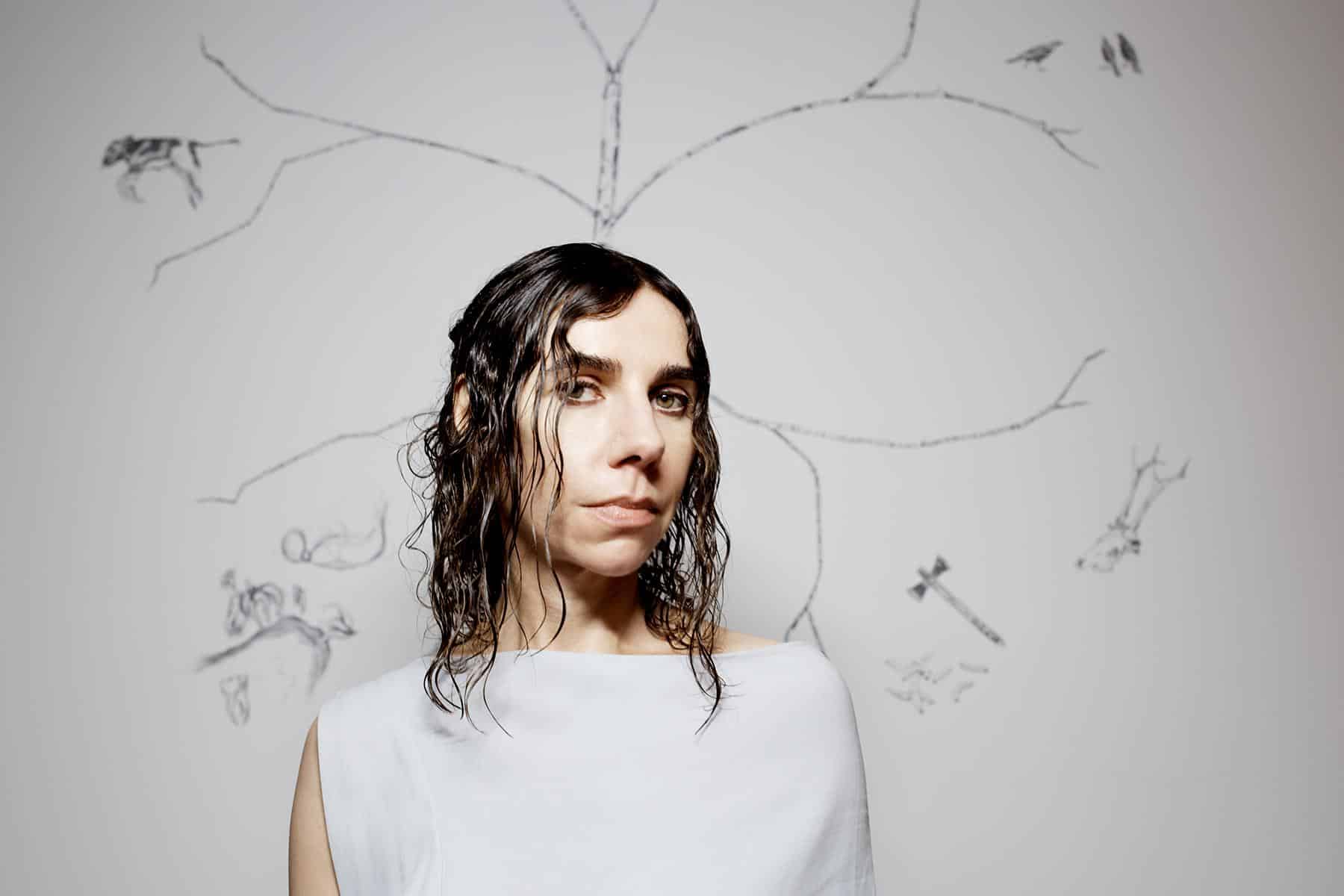 PJ_Harvey_From_Punk_Roots_to_Eclectic_Musician