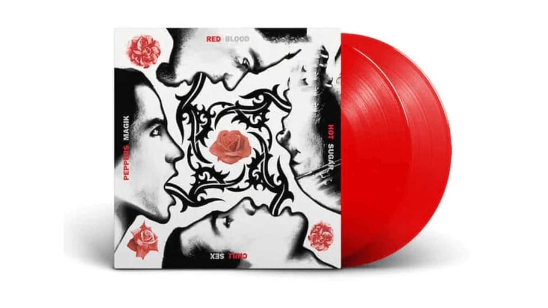 The_Game_Changer_Album_Blood_Sugar_Sex_Magik