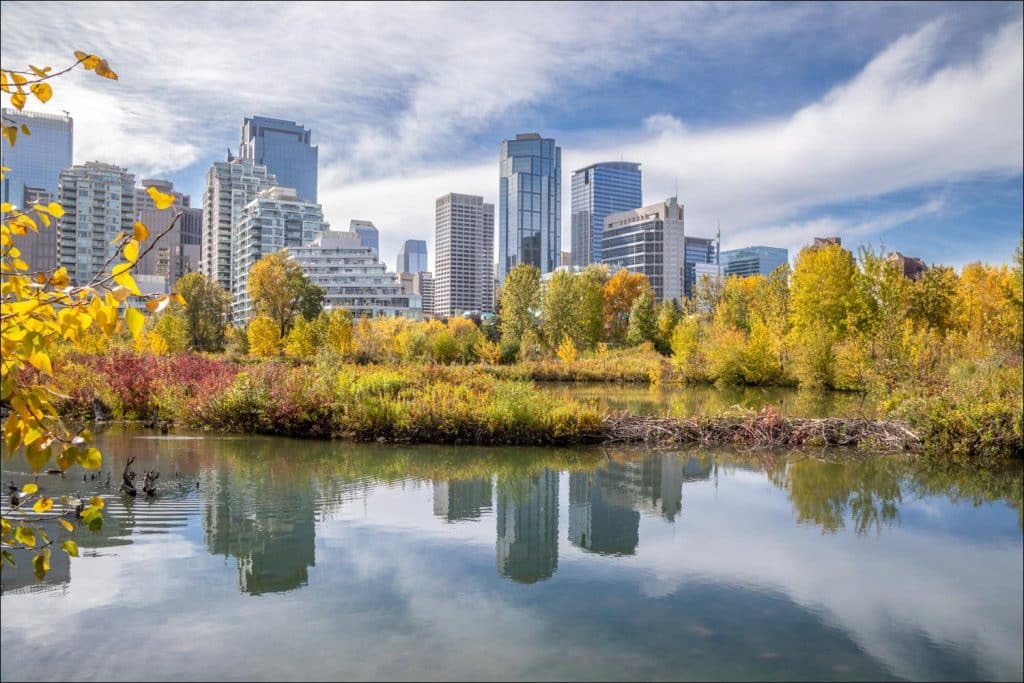 Owncondo Explains: Why More First-Time Buyers Are Choosing Pre-Construction Homes in Calgary