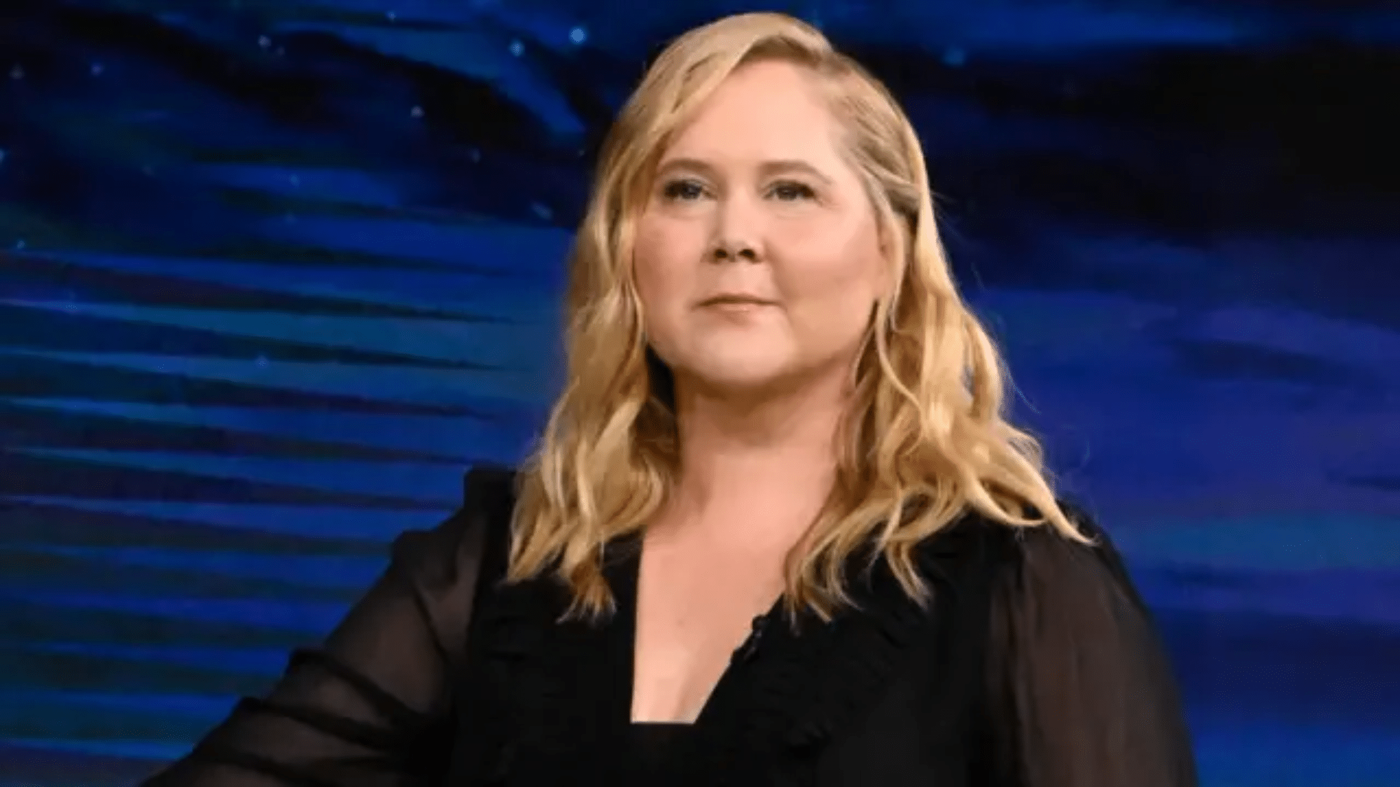 Amy_Schumer