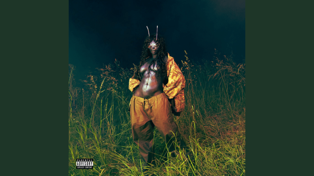 Passionate Diamond Boy Lyrics by SZA