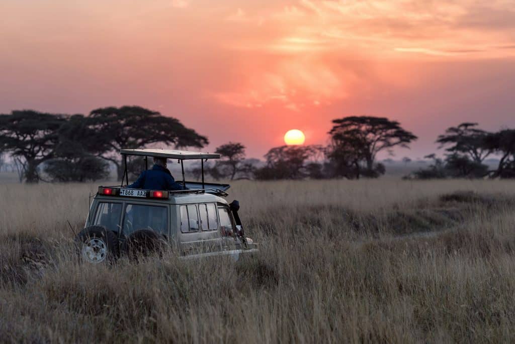 Looking for Adventure? Discover the Best Countries to Travel in Africa!