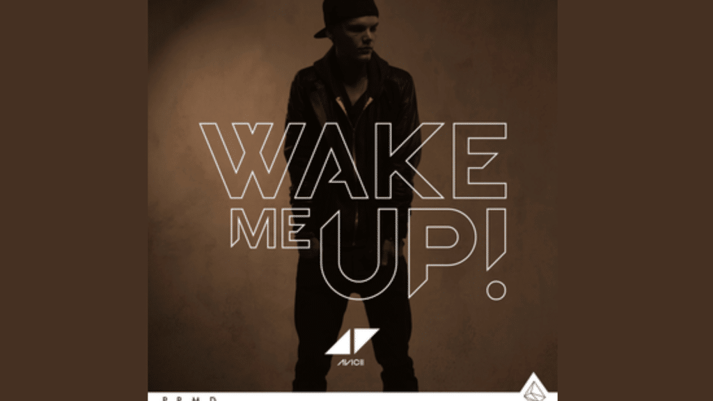 wake me up lyrics and meaning