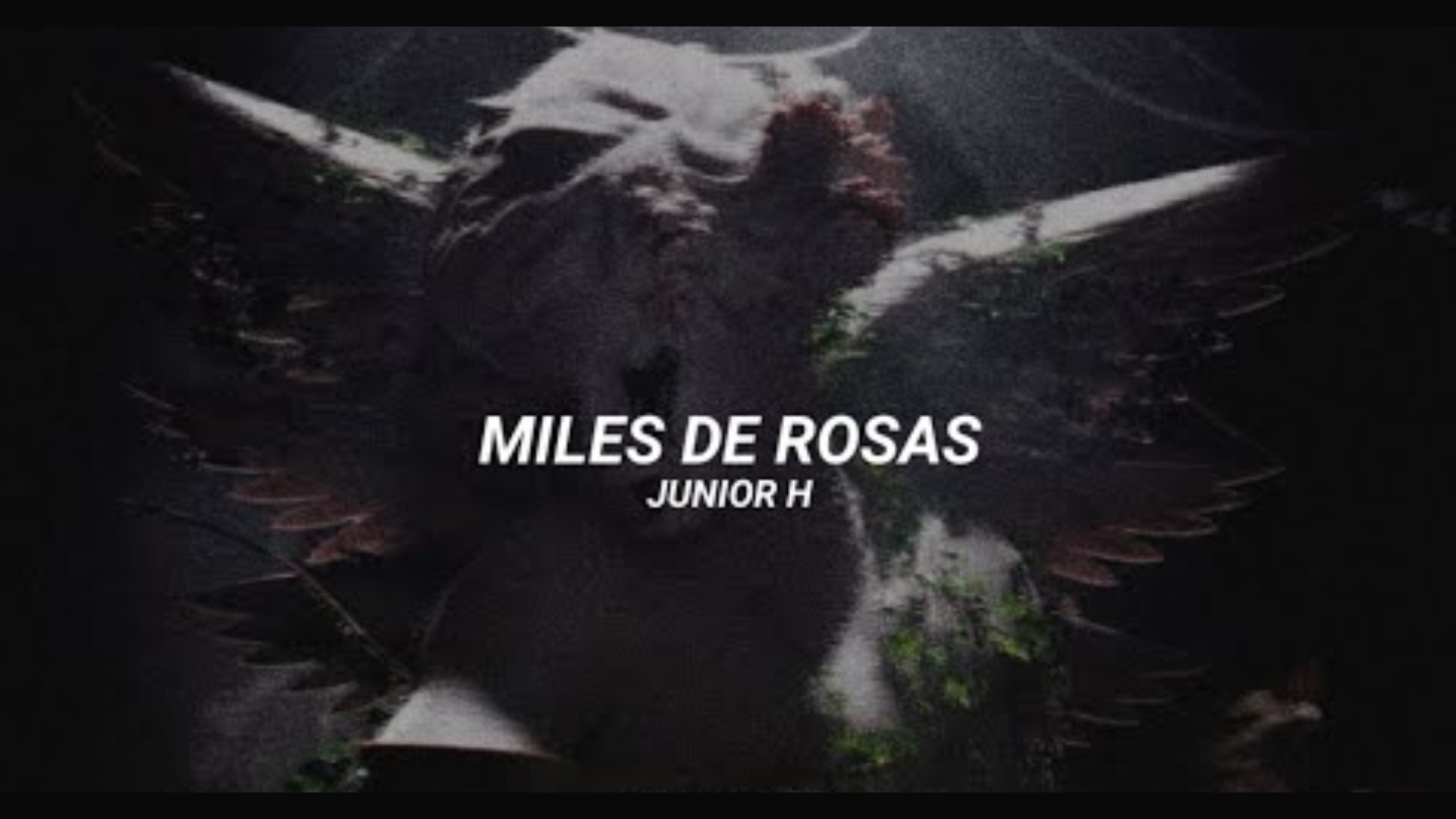 Miles De Rosas English Lyrics by Junior H
