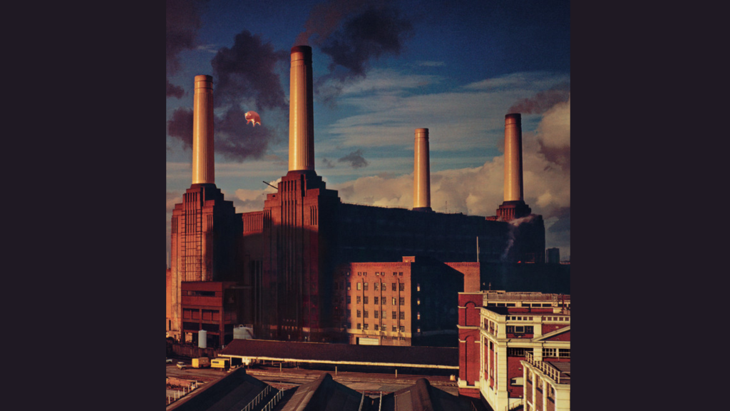 dogs pink floyd lyrics