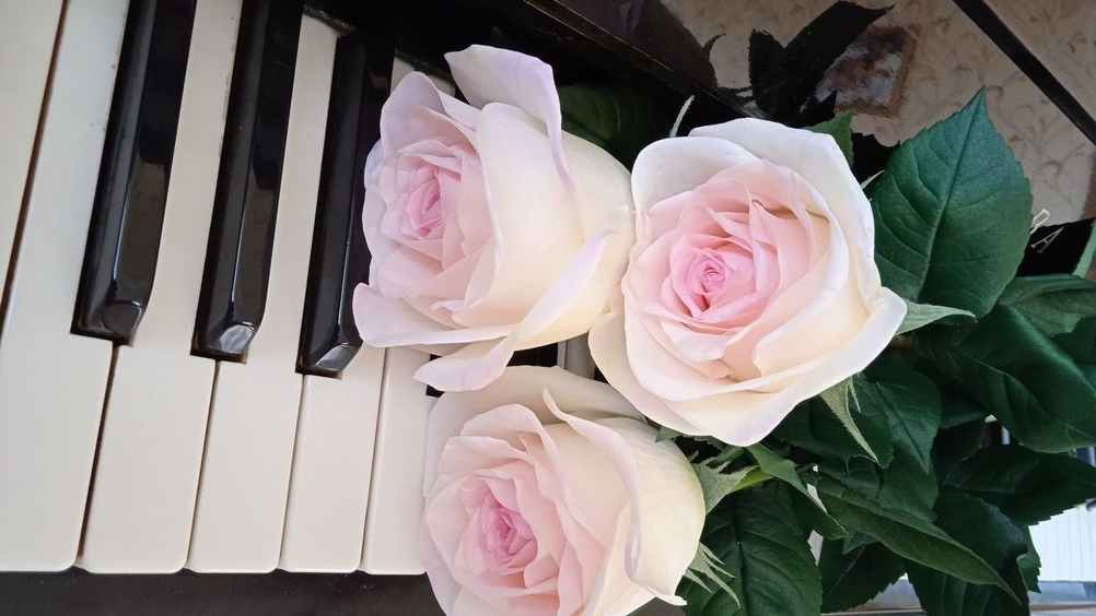 Flowers on Stage: How Bouquets Became a Symbolic Power Move in Music