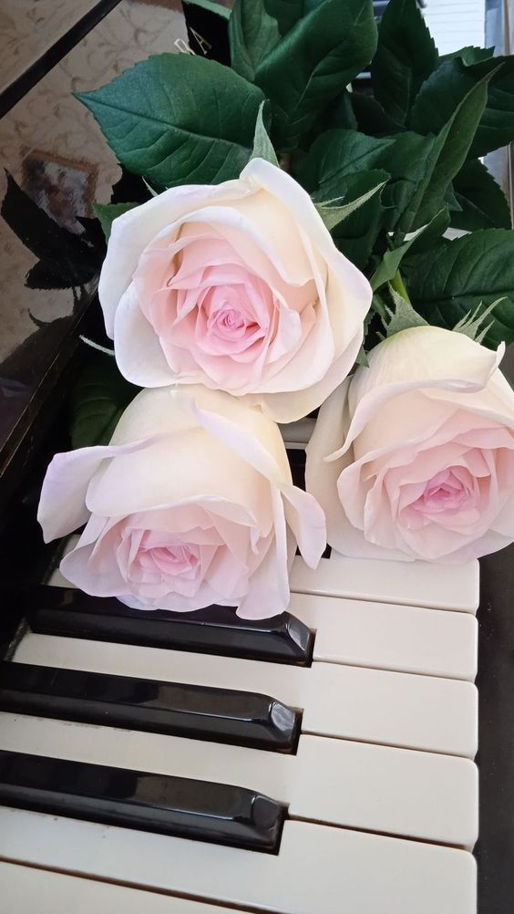 Flowers on Stage: How Bouquets Became a Symbolic Power Move in Music