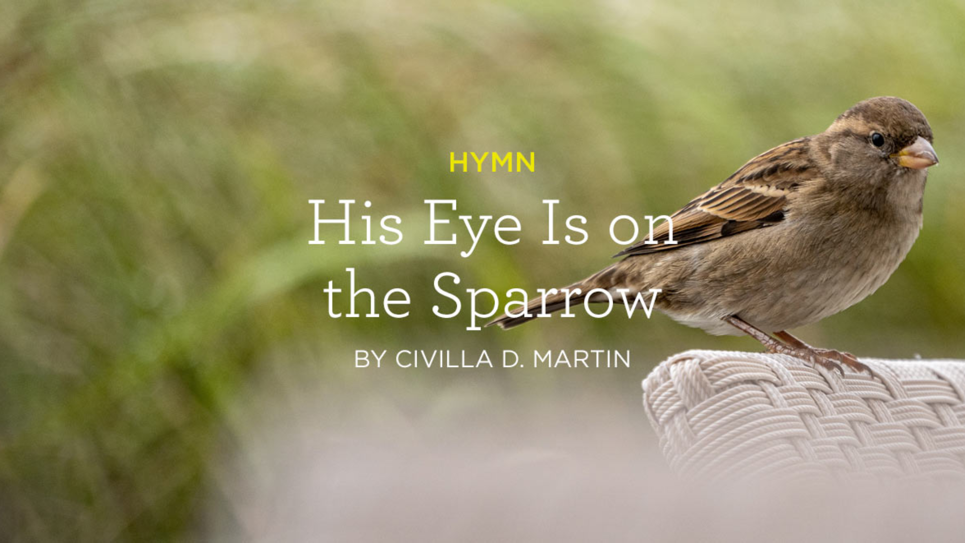 His Eye Is on the Sparrow Lyrics by Civilla D. Martin