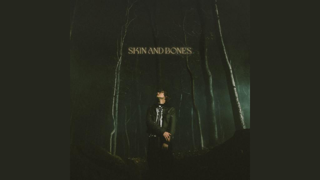 Skin and Bones Lyrics by David Kushner