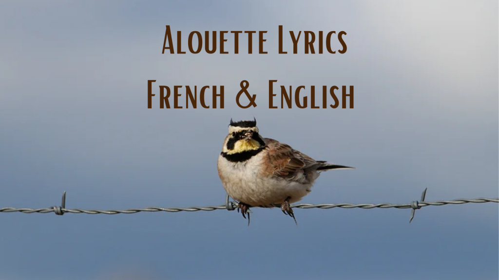 alouette gentille alouette lyrics