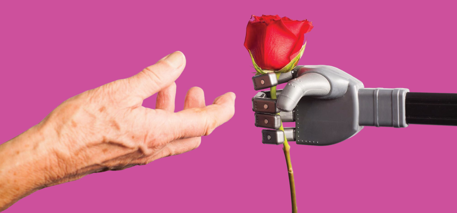 A hand holding a rose
AI-generated content may be incorrect.