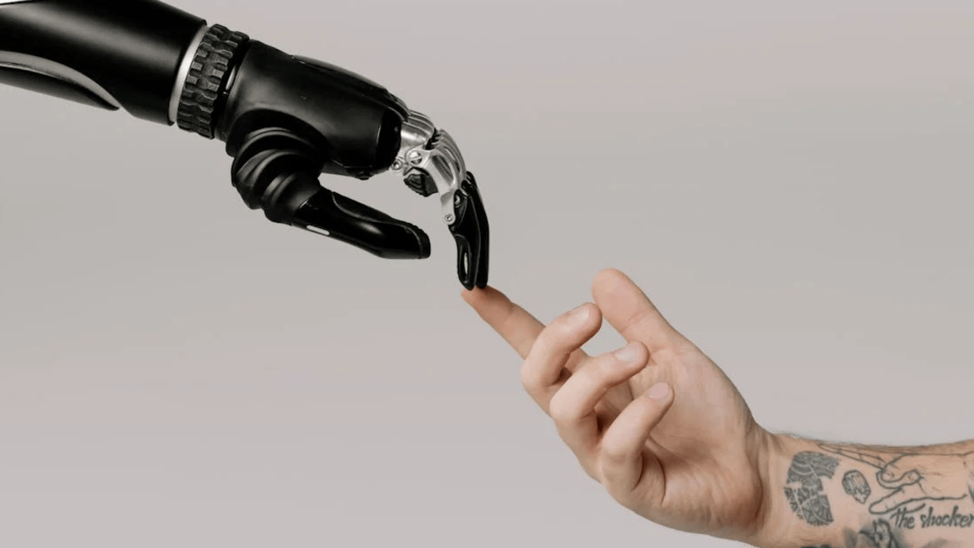 Sustaining Creativity Despite Automation