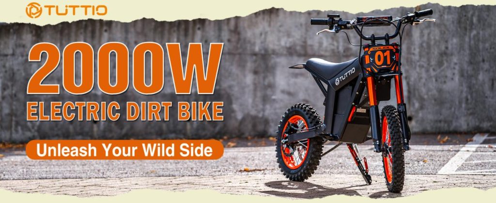 陈佳茵亚马逊1464_01-1