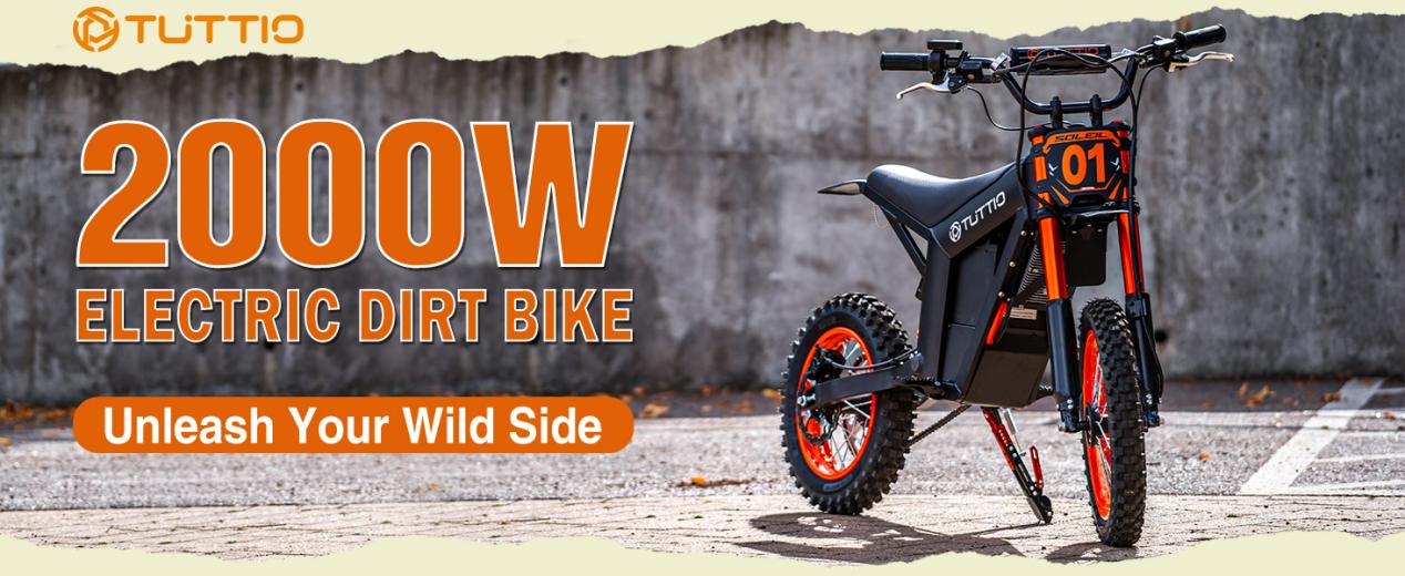 陈佳茵亚马逊1464_01-1