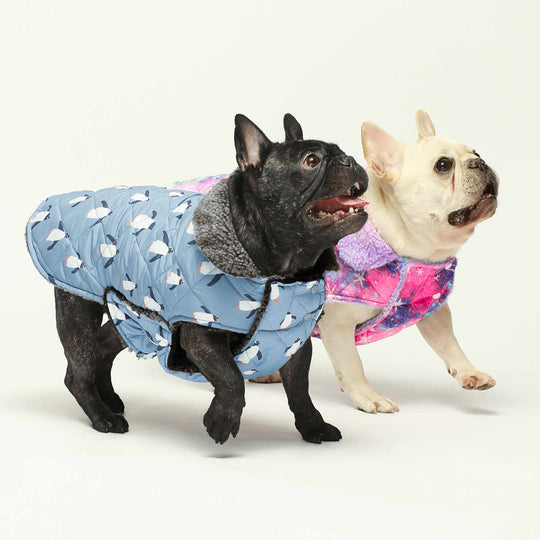 dog pajamas
