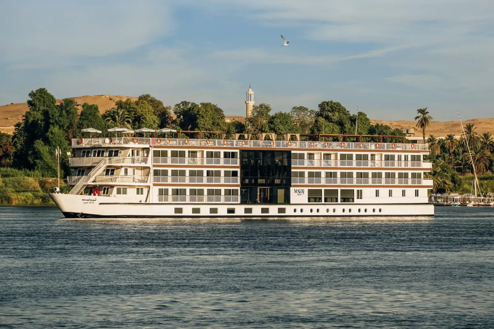 River cruise ship sailing near lush greenery and distant hills under a clear sky