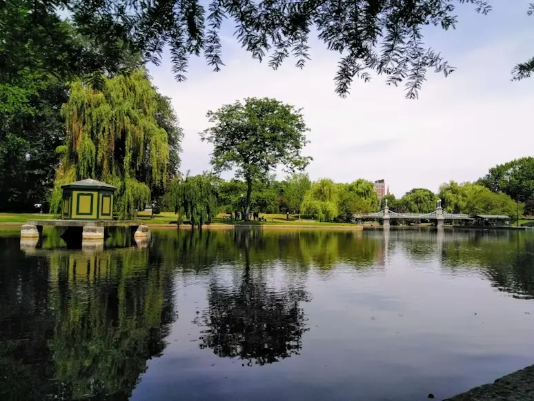 Tranquil park scene with pond, lush trees, and small bridge under cloudy sky