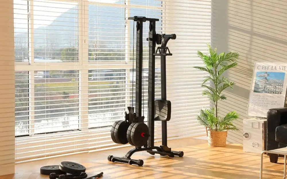 Home gym equipment in sunlit room with large windows and potted plant