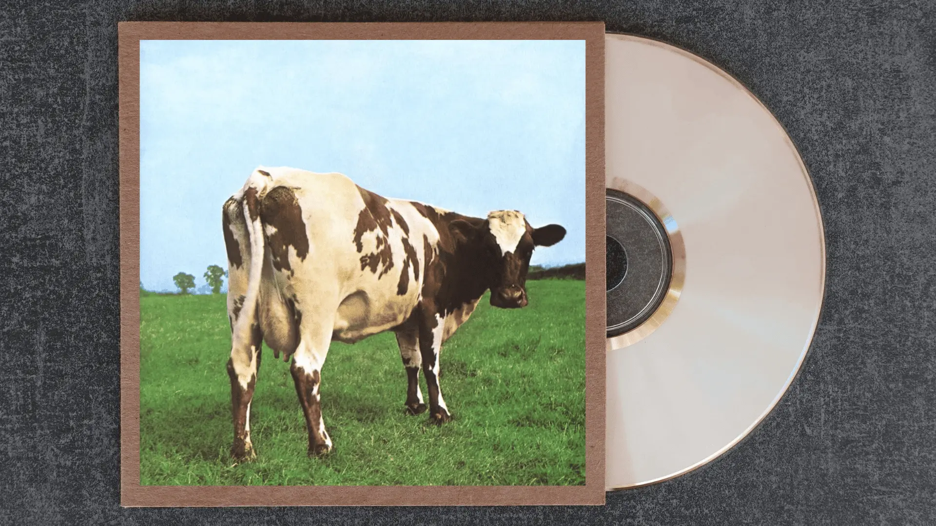 pink floyd atom heart mother album cover featuring a single brown and white cow standing in an open green field