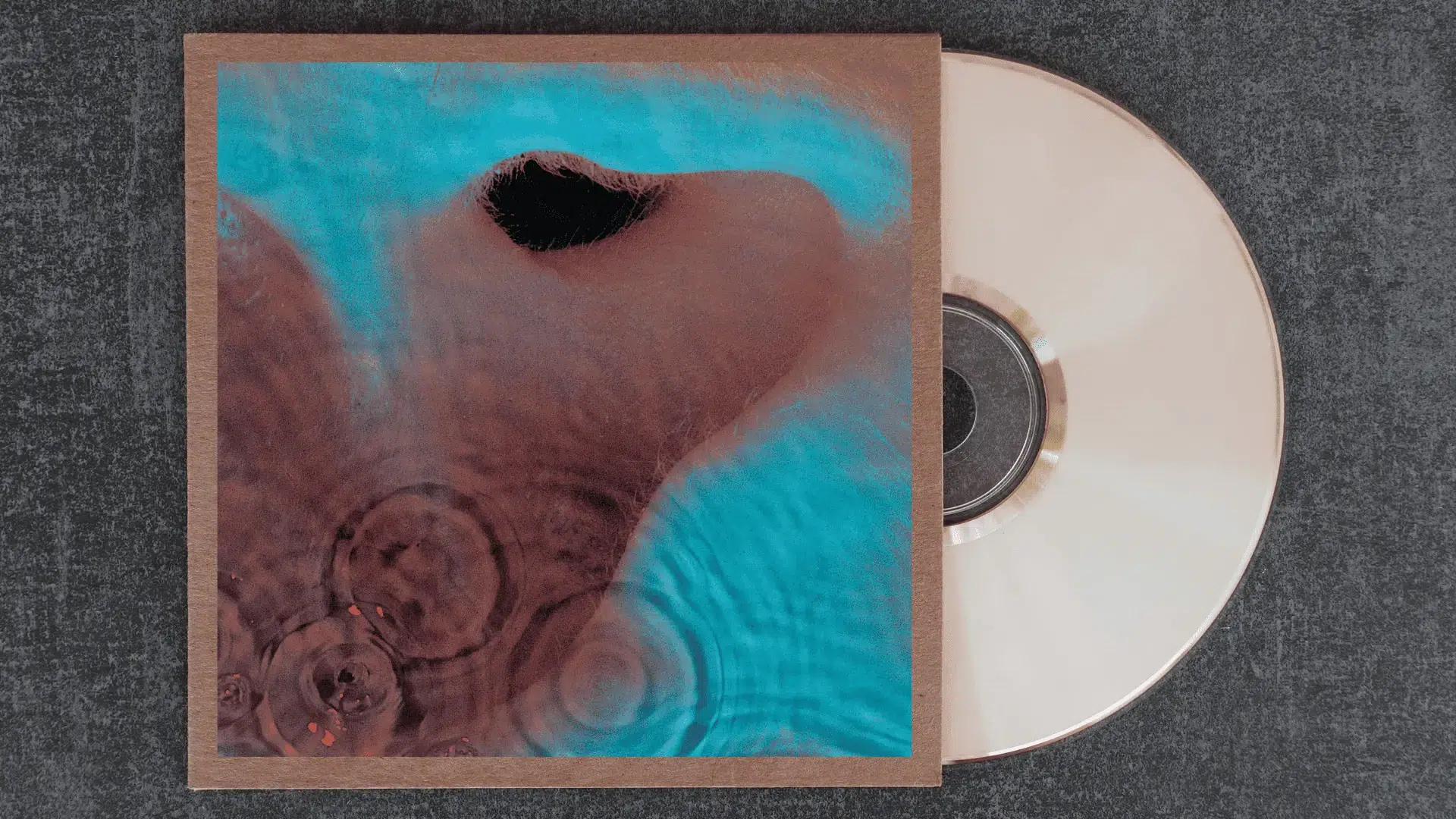 pink floyd meddle album cover showing a extreme close-up of an ear submerged in water with rippling teal tones