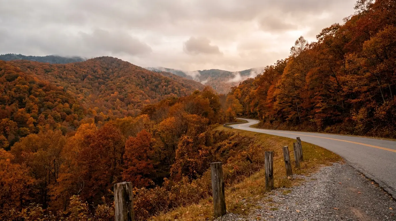 Winding road through forested mountains with vibrant autumn foliage under cloudy sky