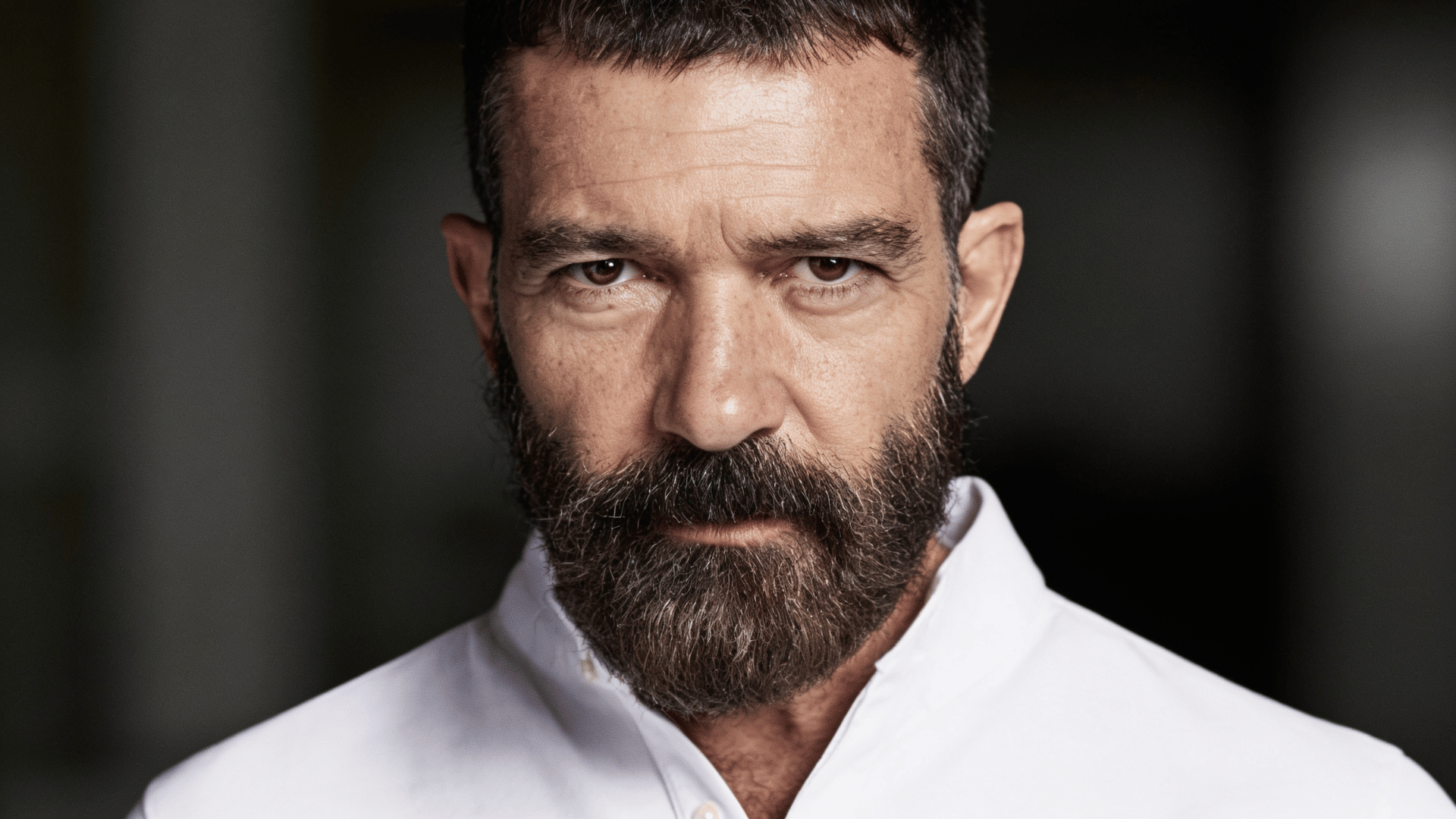 actor antonio banderas portrait