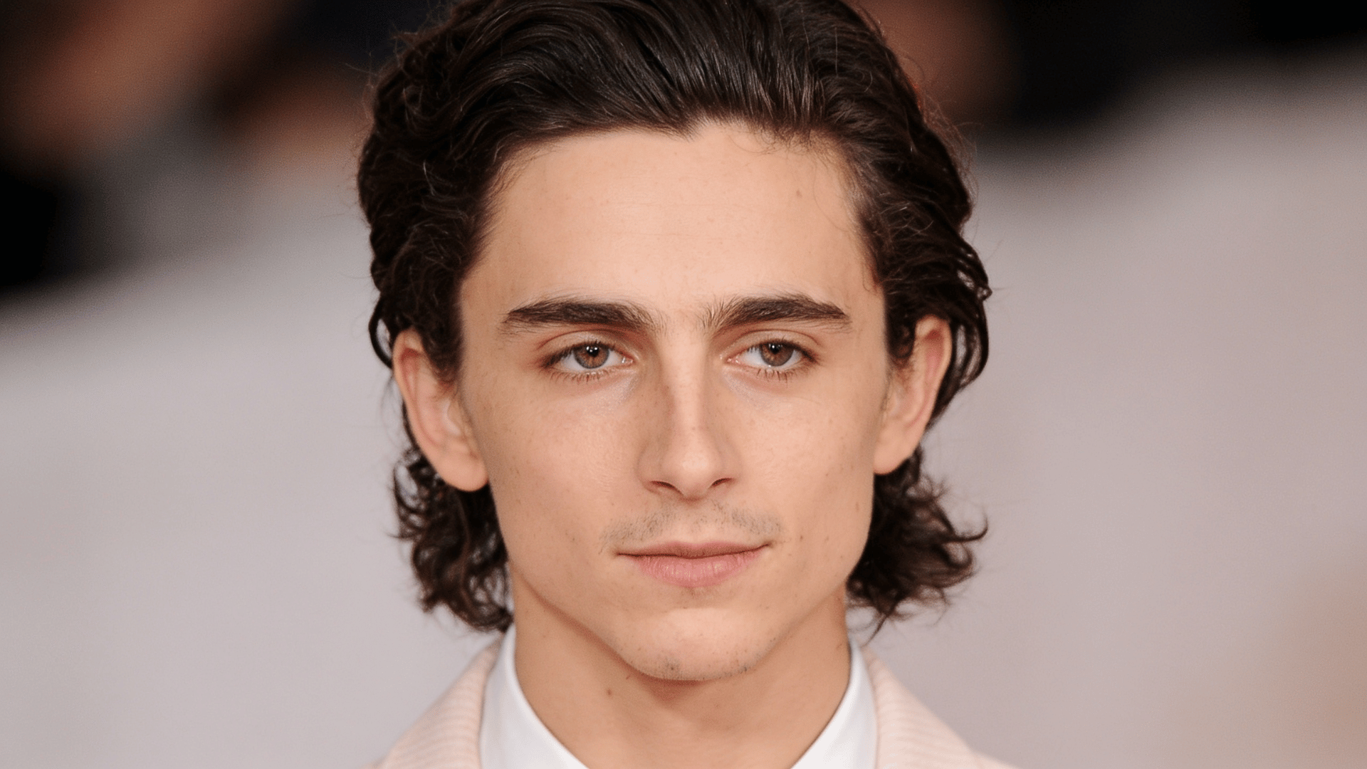 actor timothee chalamet portrait