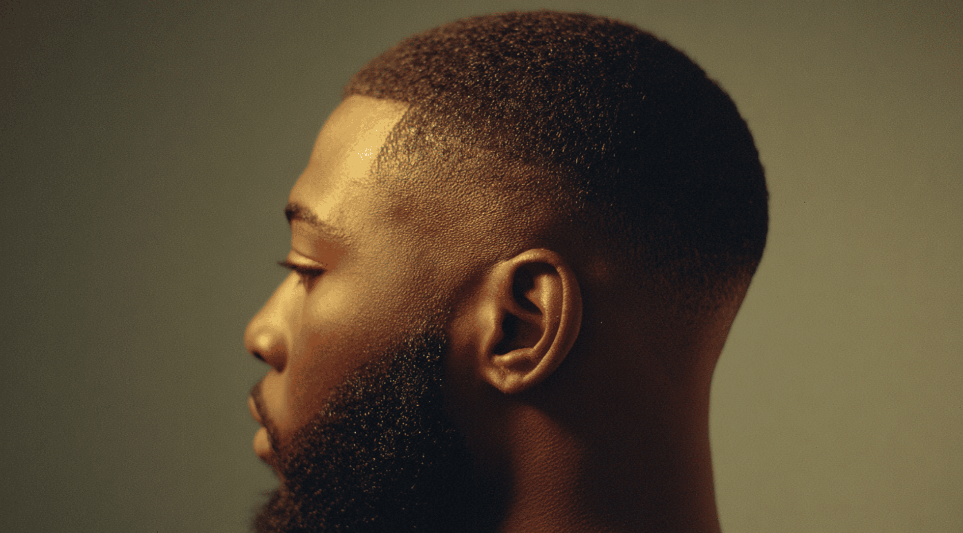 High taper fade black male short top temples crown neckline blend side view portrait