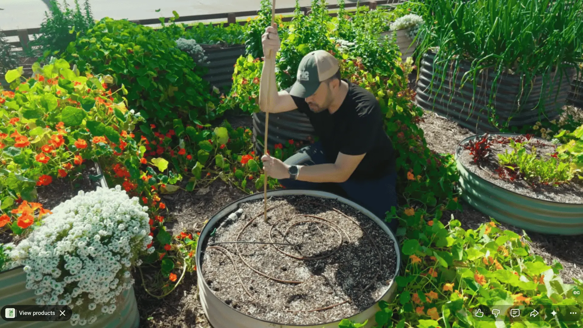 man kneels among raised garden beds using a wooden stake to mark soil surrounded by lush plants and bright flowers