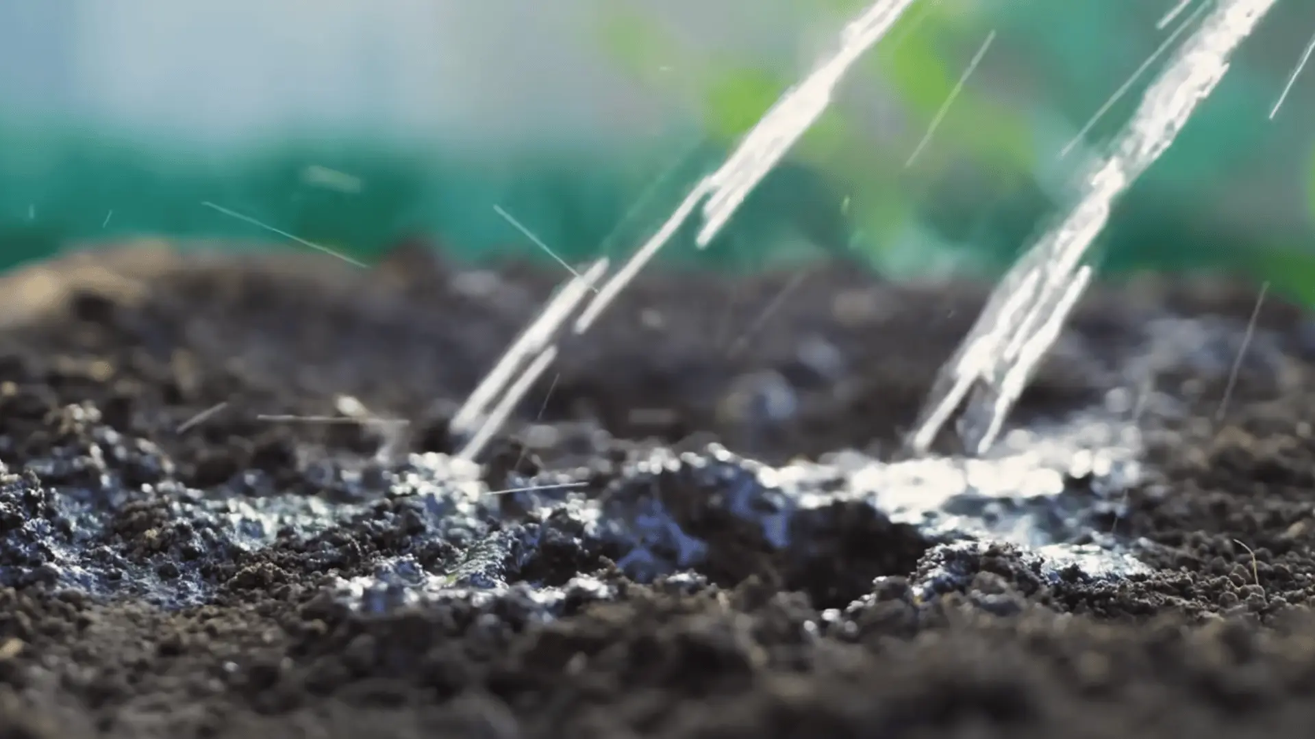 two clear water streams soak dark garden soil in sunlight with softly blurred green plants in the background