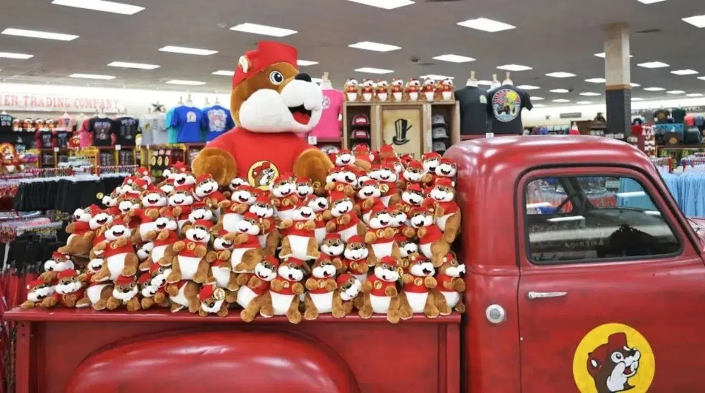 buc ees beaver plush toys displayed in a red vintage truck inside a buc ees store
