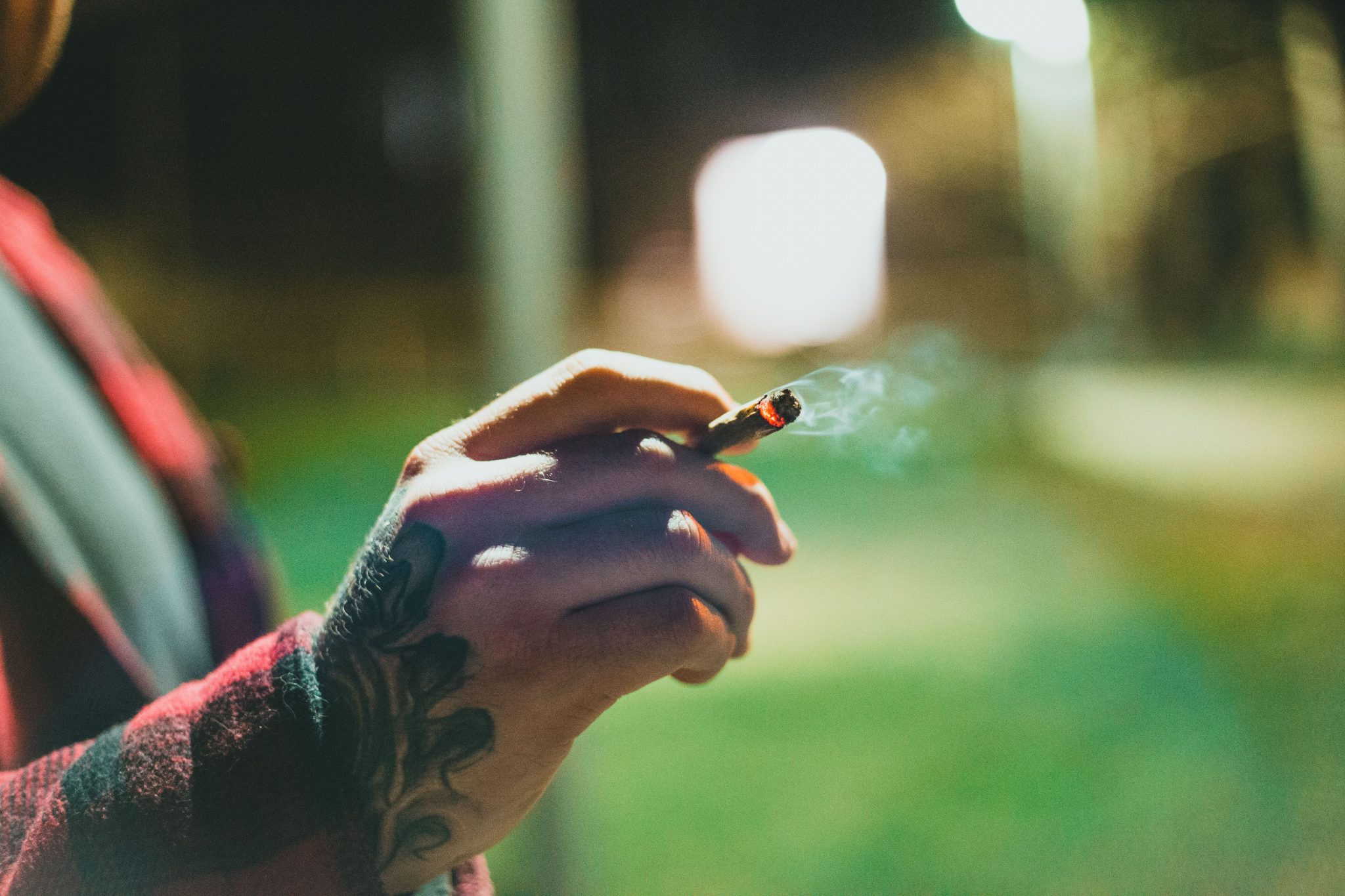 Marijuana’s Health Benefits and Risks: What the Research Actually Says