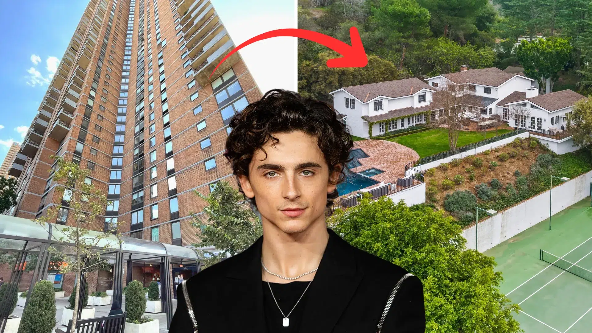 timothee chalamet portrait with manhattan apartment building and beverly hills estate in background