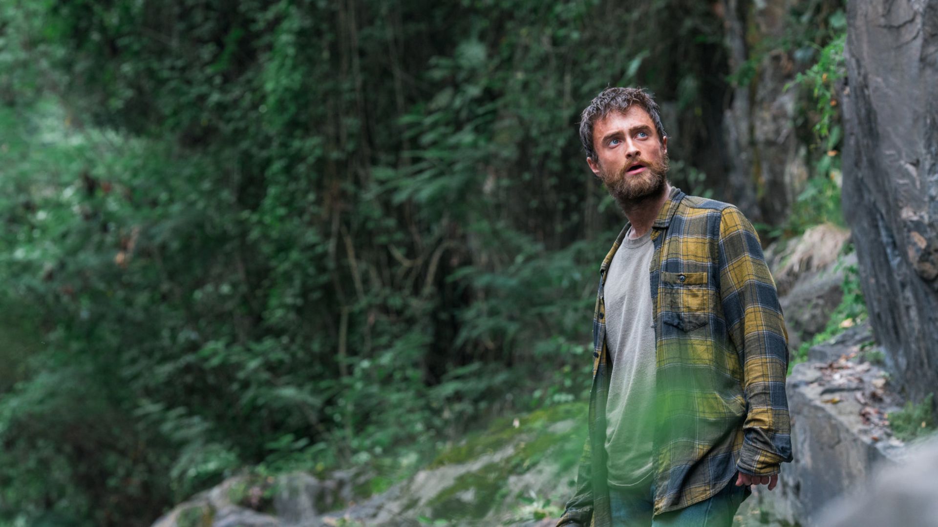 Daniel Radcliffe standing in a forest wearing a casual shirt during an outdoor sce