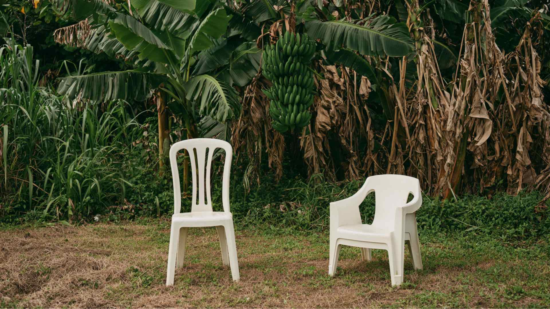 Decoding Bad Bunny's 'Dtmf': What 'Debí Tirar Más Fotos' Really Means in English