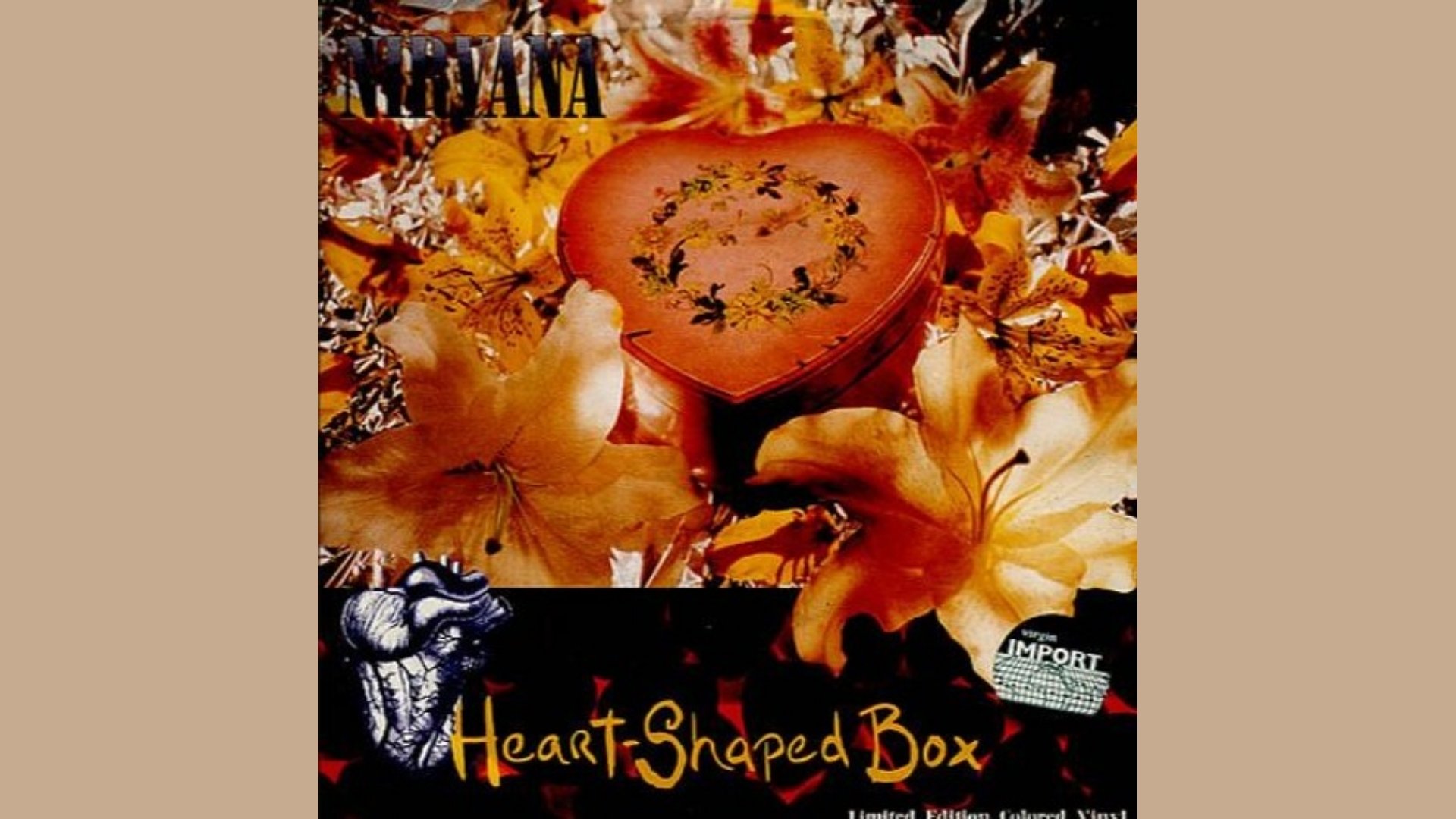 Heart Shaped Box Lyrics and Facts About the Nirvana Song