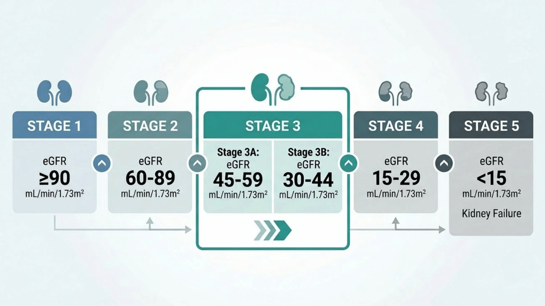 chronic kidney disease stages showing stage 3a and stage 3b egfr ranges