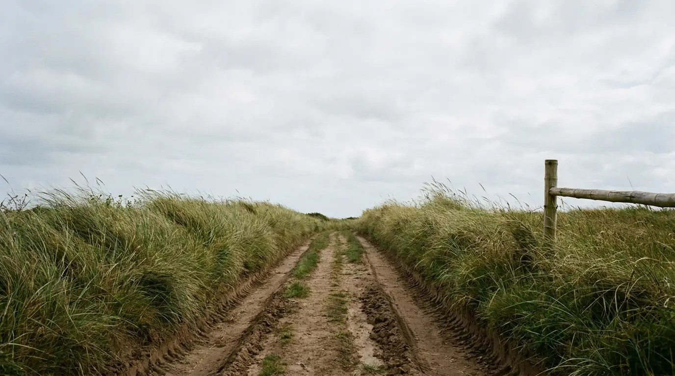 Dirt path through tall grass under cloudy sky in rural landscape