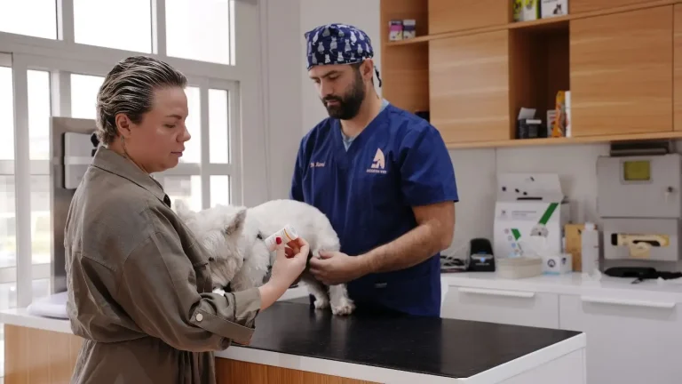 Woman holding medicine bottle while veterinarian examines small dog in clinic setting